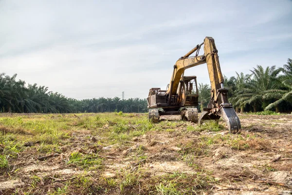 sarı renkli hidrolik kazıcı makinesi.