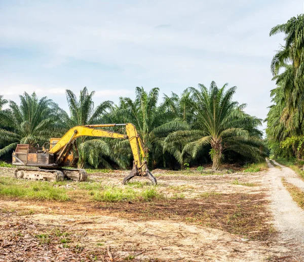 sarı renkli hidrolik kazıcı makinesi.