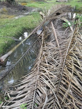 Kurumuş palmiye yaprağı ve dallarla dolu su birikintisi..