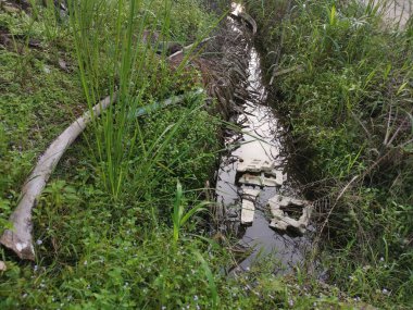 Kurumuş palmiye yaprağı ve dallarla dolu su birikintisi..