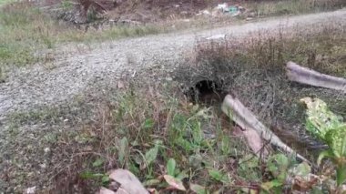 Çürümüş palmiye yaprağı ve dallarla dolu drenaj..