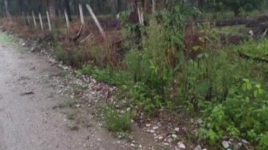 Kirli tarım akıntısı ya da kırsal yol boyunca kanalizasyon.