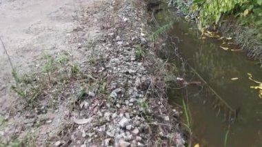 Kirli tarım akıntısı ya da kırsal yol boyunca kanalizasyon.