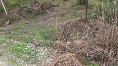 Kirli tarım akıntısı ya da kırsal yol boyunca kanalizasyon.