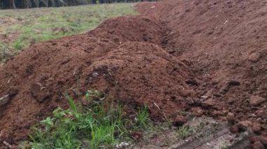 Kirli tarım akıntısı ya da kırsal yol boyunca kanalizasyon.