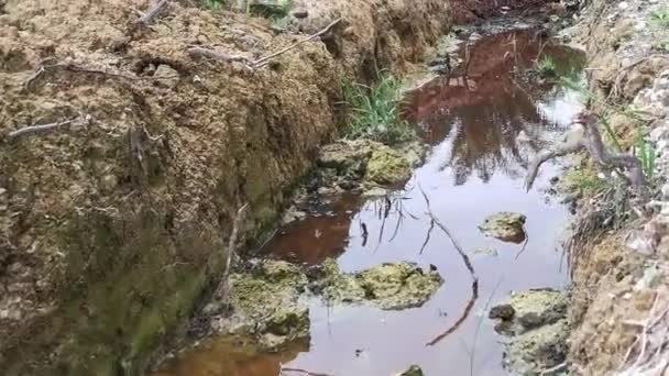 Vuile Aanplantingsstroom Riolering Langs Landweg — Stockvideo