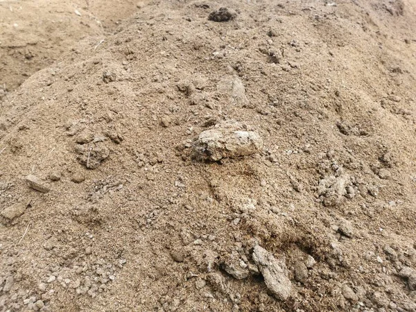 Кучи Сушеного Песчаного Куриного Навоза Поле — стоковое фото