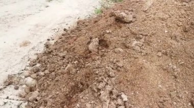 Sahada kurumuş kumlu tavuk gübresi yığını var..