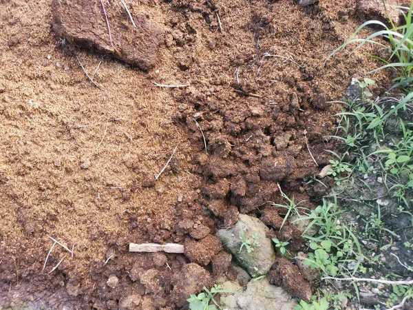 Dried Sandy Chicken Manure Field — Stock Photo, Image