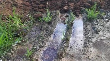 Sahada kurutulmuş tavuk gübresi yığını.