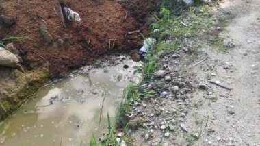Sahada kurutulmuş tavuk gübresi yığını.