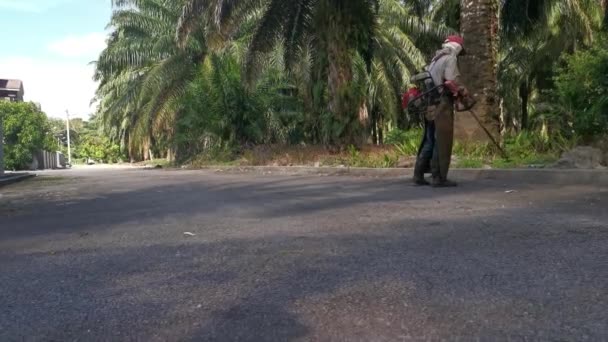 Perak Maleisië April 2022 Gemeentelijke Arbeider Maait Gras Langs Zijstraat — Stockvideo