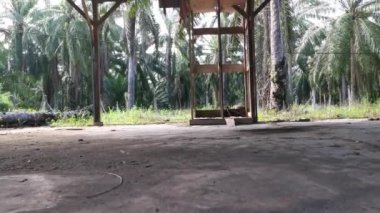 Çiftlikteki terk edilmiş ahşap kulübe..