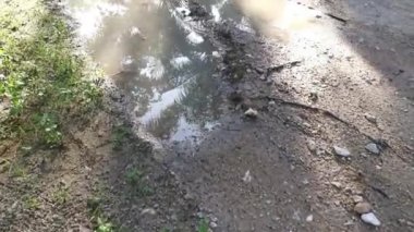 Kırsal yol boyunca akan yağmur suyu havuzu.