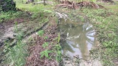 Kırsal yol boyunca akan yağmur suyu havuzu.