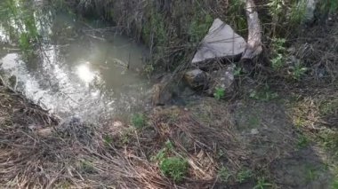 Kırsal yol boyunca akan yağmur suyu havuzu.