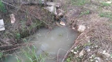 Kırsal yol boyunca akan yağmur suyu havuzu.