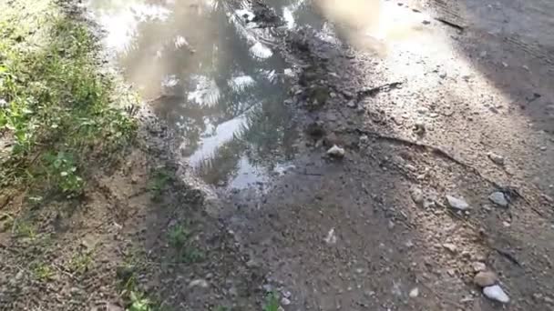 Kırsal Yol Boyunca Akan Yağmur Suyu Havuzu — Stok video