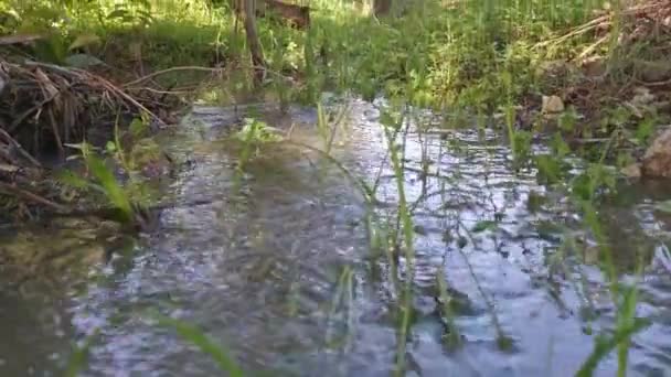 Bazén Tekoucí Dešťové Vody Podél Venkovské Silnice — Stock video
