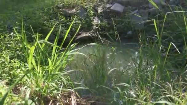 Pool Aus Fließendem Regenwasser Entlang Der Landstraße — Stockvideo