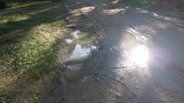 Pool Flowing Rain Water Rural Road — Video