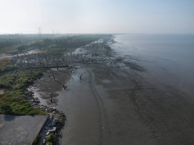 Çamurlu bataklık sahilinde alçak gelgit manzarası