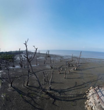 Çamurlu bataklık plajında panoramik hava akıntısı manzarası