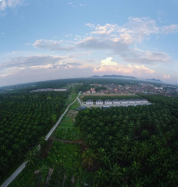 Banliyöde sabahın erken saatlerinde gökyüzünün panoramik görüntüsü