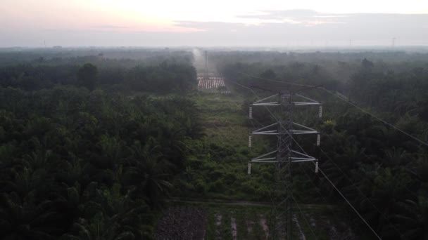 Antenowa Scena Poranna Wokół Wieży Elektrycznej Otoczona Farmą Oleju Palmowego — Wideo stockowe