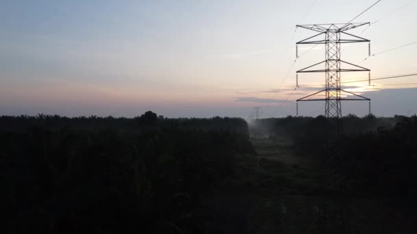 Aerial Morning Scene Electric Tower Surrounded Palm Oil Farm — Vídeo de Stock