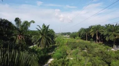 Banliyöde sabahın erken saatlerinde gökyüzünün havadan çekilmiş görüntüleri.