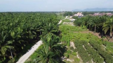Banliyöde sabahın erken saatlerinde gökyüzünün havadan çekilmiş görüntüleri.