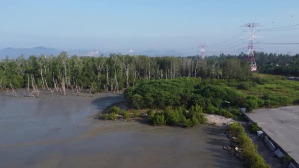 Paisagem Aérea Maré Baixa Praia Pântano Lamacento — Vídeo de Stock