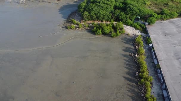 Scenario Aereo Bassa Marea Presso Spiaggia Paludosa Fangosa — Video Stock