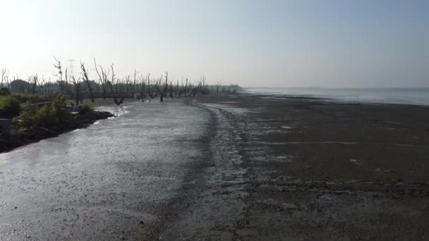 Aerial Low Tide Scenery Muddy Swamp Beach — Video Stock