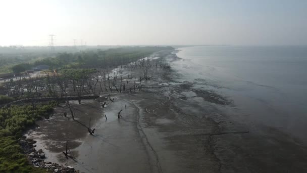 Scenario Aereo Bassa Marea Presso Spiaggia Paludosa Fangosa — Video Stock