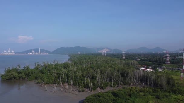 Aerial Low Tide Scenery Muddy Swamp Beach — 비디오