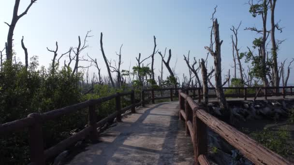 Hoogwater Landschap Aan Het Modderige Moerasstrand — Stockvideo