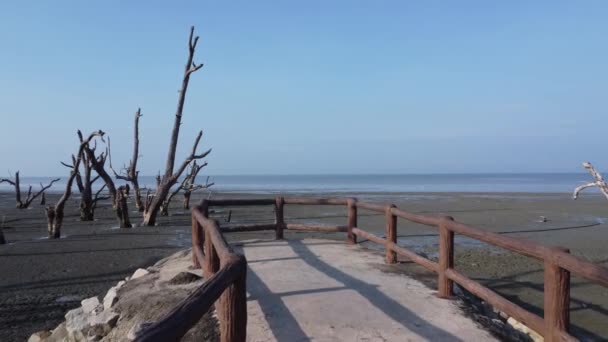 Aerial Low Tide Scenery Muddy Swamp Beach — Vídeos de Stock