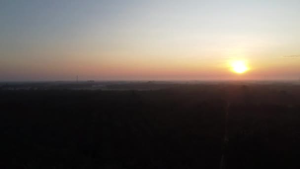 Aerial Sunrise Oil Palm Plantation Road — 비디오