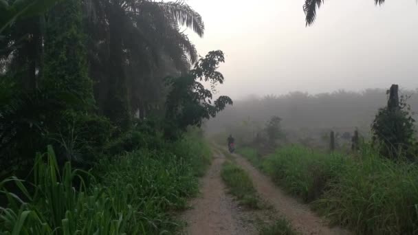 霧の多い早朝田舎道で — ストック動画