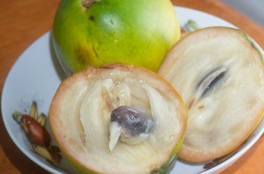 olgun sarı Pouteria caimito meyvesi.