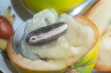 olgun sarı Pouteria caimito meyvesi.