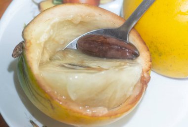 olgun sarı Pouteria caimito meyvesi.