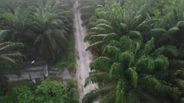 Sabahın erken saatlerinde kırsal çakıl yolundan aşağıya bakan hava manzarası..
