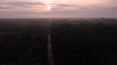 Sabahın erken saatlerinde kırsal çakıl yolundan aşağıya bakan hava manzarası..