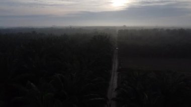 Sabahın erken saatlerinde kırsal çakıl yolundan aşağıya bakan hava manzarası..