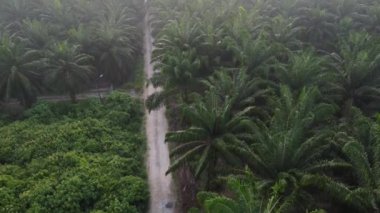 Sabahın erken saatlerinde kırsal çakıl yolundan aşağıya bakan hava manzarası..