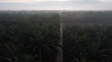 Sabahın erken saatlerinde kırsal çakıl yolundan aşağıya bakan hava manzarası..
