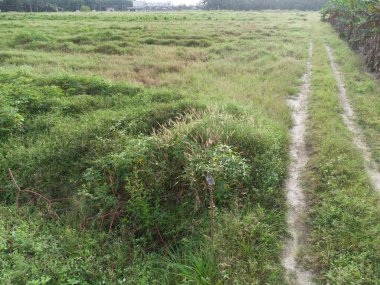 Kırsal çakıl yolundan aşağıya bakan hava manzarası.